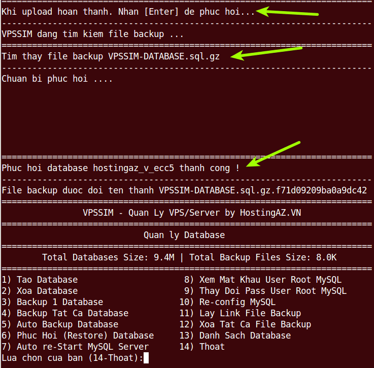 huong dan phuc hoi restore database bang vpssim 2