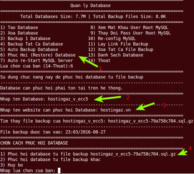 huong dan phuc hoi restore database bang vpssim